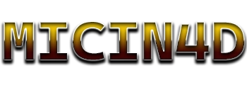 Logo MICIN4D